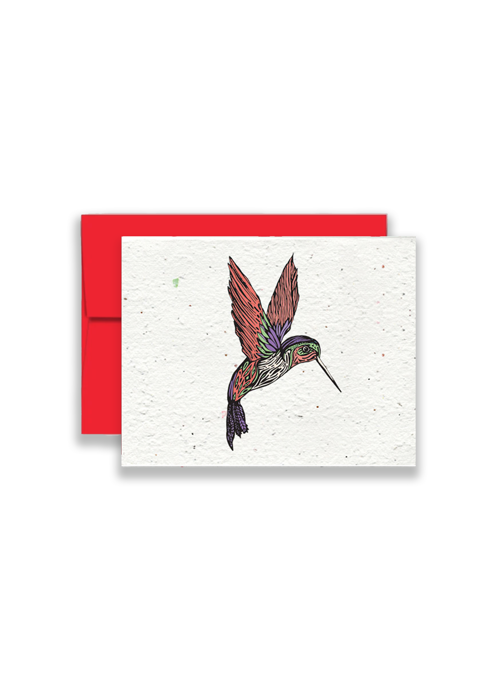 Whimsical Hummingbird Harmony Wildflower Seed Paper Greeting Card ...