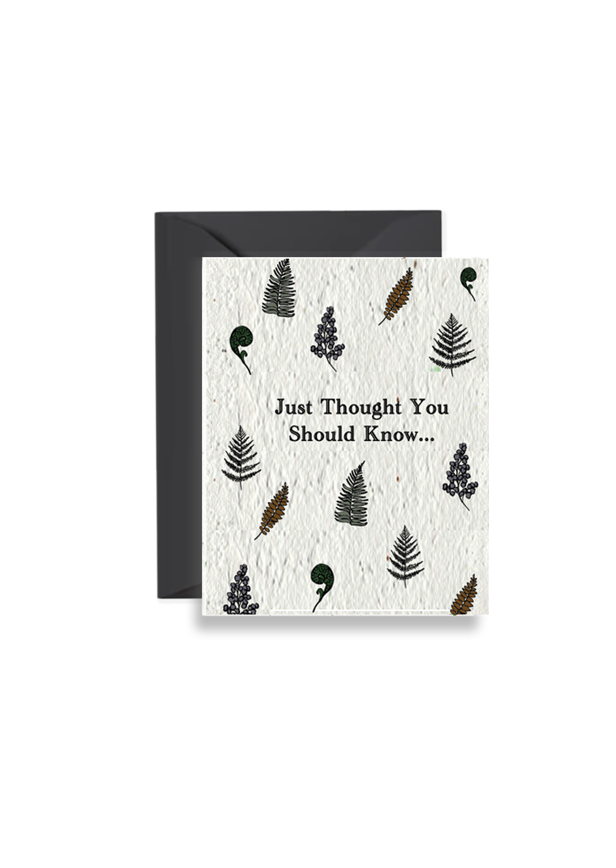 Just Thought You Should Know Wildflower Seed Paper Card