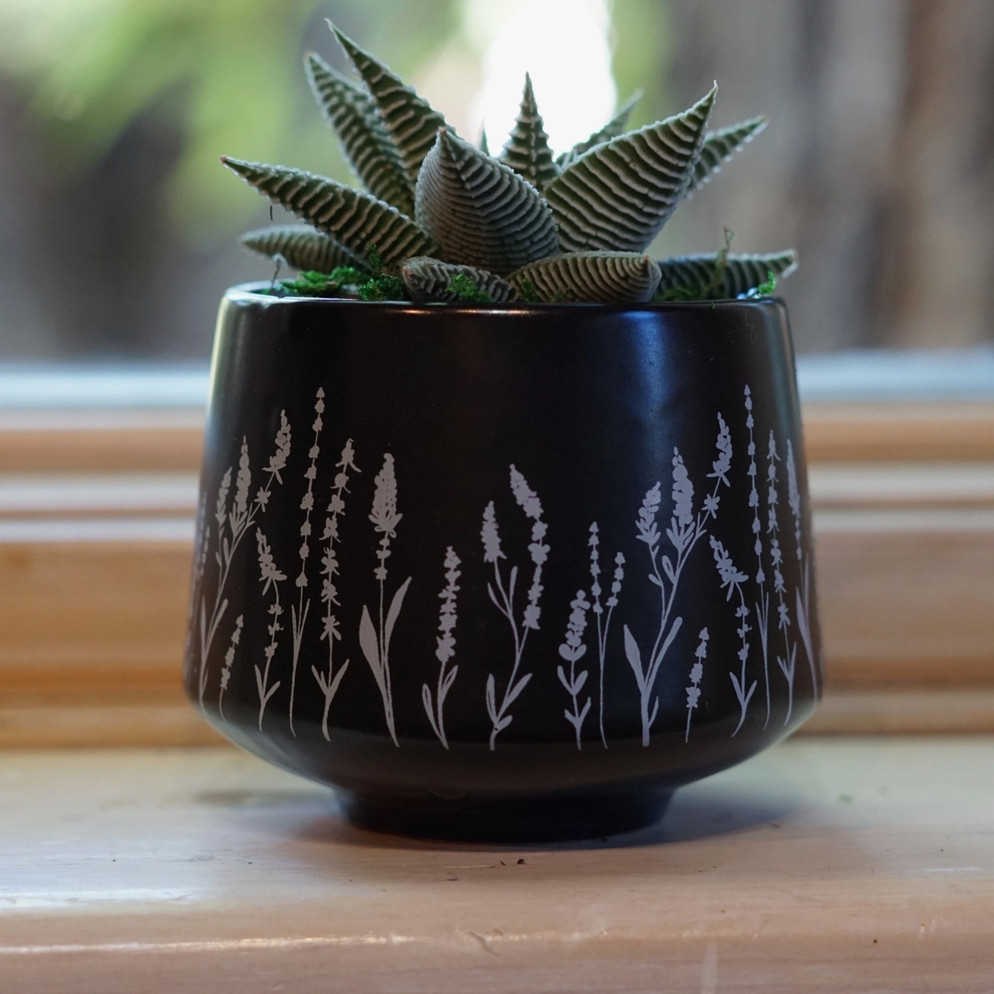 Lavender Pot