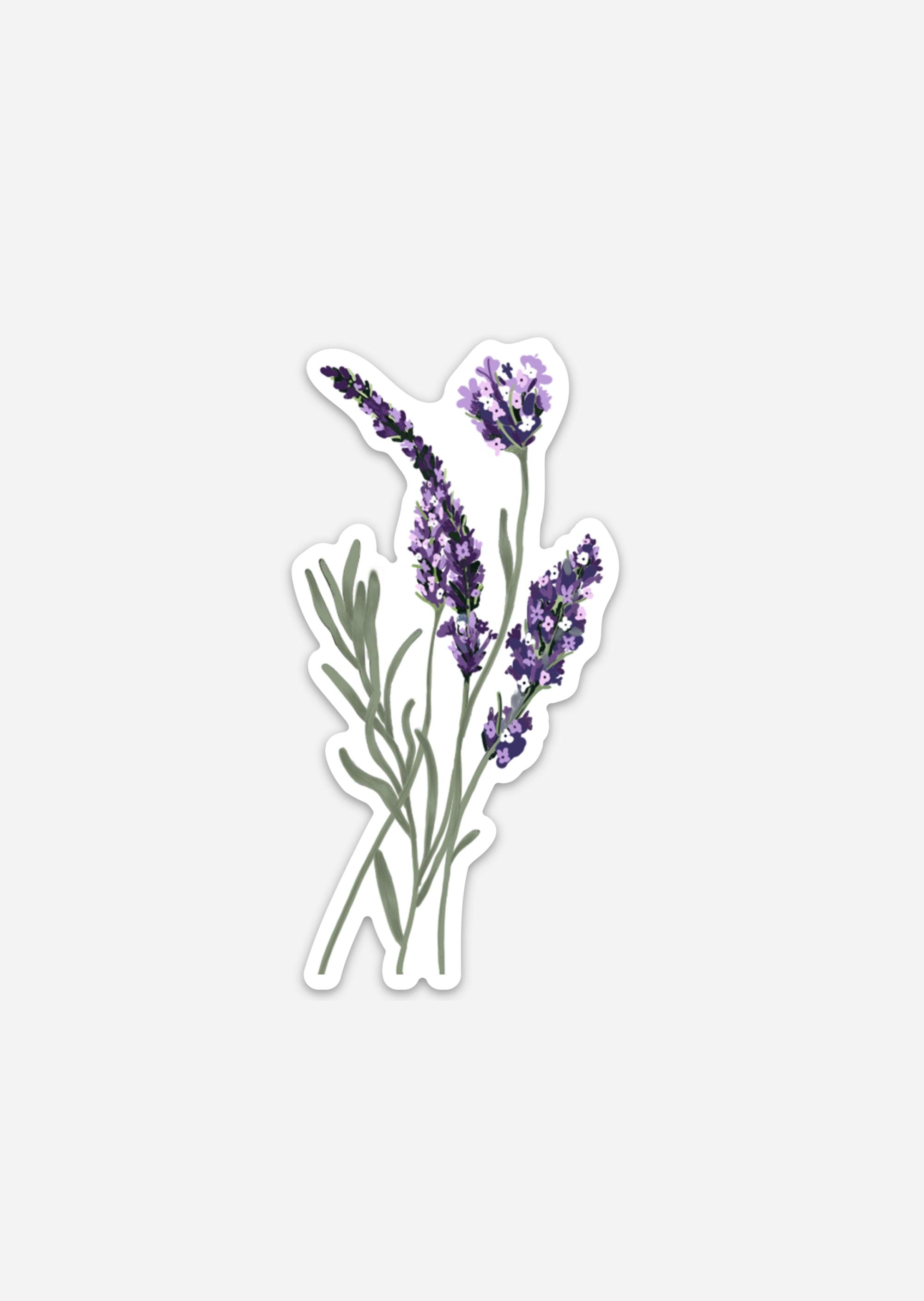 Artsy Ems Designs Lavender Dreams Sticker features three sprigs of lavender with green stems and purple flowers, set on a white background, capturing the calming beauty of lavender in a soothing illustration.