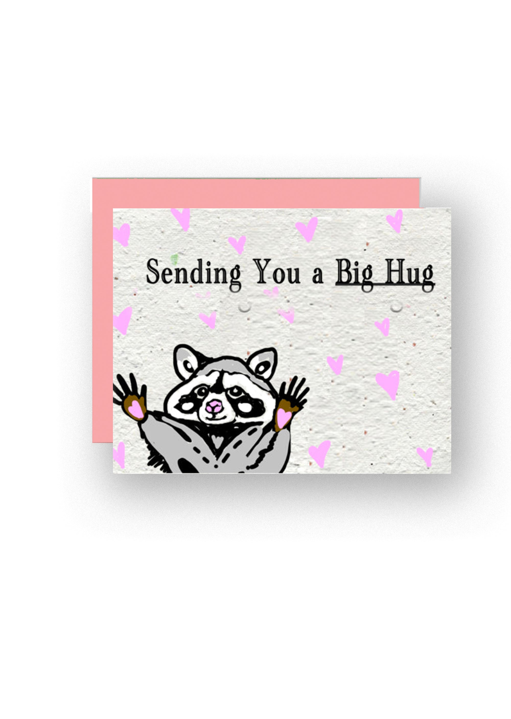 "Sending you a hug"  Wildflower Seed Paper Greeting Card