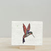 "Whimsical Hummingbird Harmony" Wildflower Seed Paper Greeting Card